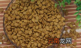 奶糕和狗粮的区别 3点教你分清奶糕和狗粮