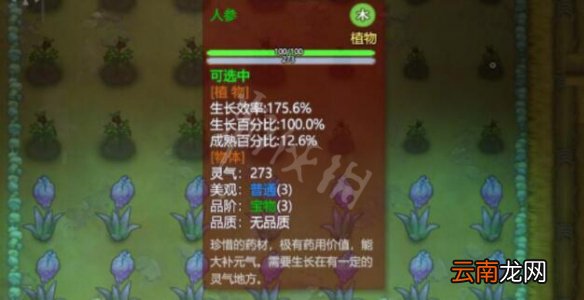 了不起的修仙模拟器人参怎么获得 人参位置及及属性介绍