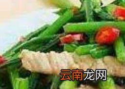 章鱼怎么做好吃 章鱼的家常做法教程