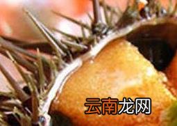 活海胆怎么保存 活海胆保存方法