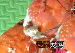 水煮螃蟹如何做 吃水煮螃蟹的注意事项