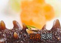 干海参如何泡发 干海参怎么泡发最好