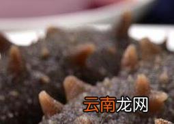 干海参如何泡发 干海参怎么泡发最好