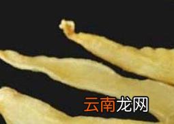 金龙鱼胶是什么 金龙鱼胶的功效与作用