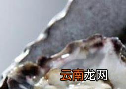 牡蛎怎么吃 牡蛎哪些部位不能吃