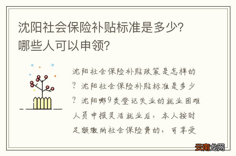 沈阳社会保险补贴标准是多少？哪些人可以申领？
