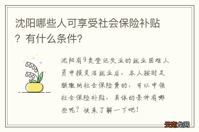沈阳哪些人可享受社会保险补贴？有什么条件？