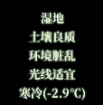 了不起的修仙模拟器新手入门指南 全玩法详解 详细介绍