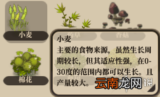 了不起的修仙模拟器新手入门指南 全玩法详解 详细介绍