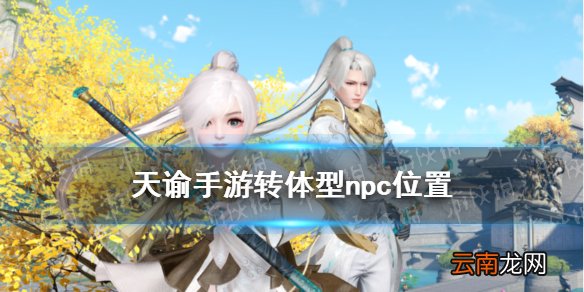 天谕手游转体型npc在哪 天谕手游转体型npc无垠位置介绍