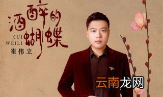 酒醉的蝴蝶歌曲是什么时候出版的 给大家介绍一下