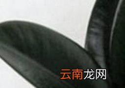 黑金刚怎么养 黑金刚的养殖方法和注意事项