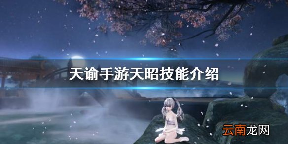 天谕手游天昭技能介绍 天谕手游天昭技能一览