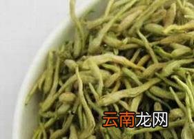 夏季喝什么茶好 适合夏季喝的茶有哪些