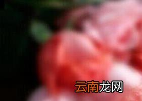 喝玫瑰红茶的功效与作用