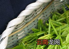 绿茶怎么保存 绿茶的保存方法