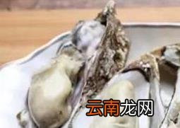 海蛎子和生蚝的区别