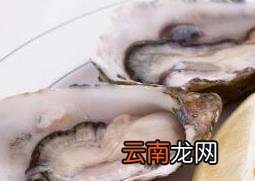 海蛎子和生蚝的区别