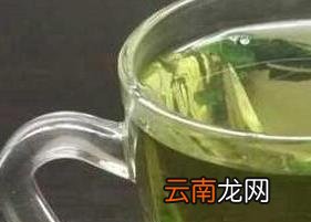 桑叶茶的功效与作用 喝桑叶茶有哪些好处