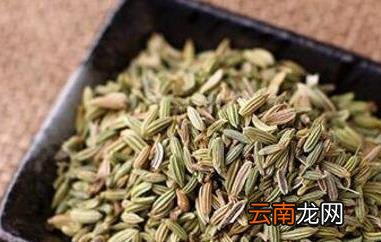 小茴香的功效与作用 小茴香的药用价值