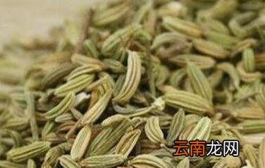 小茴香的功效与作用 小茴香的药用价值
