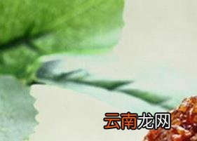 黑苦荞的功效与作用