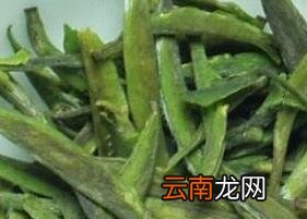 午子仙毫的功效与作用