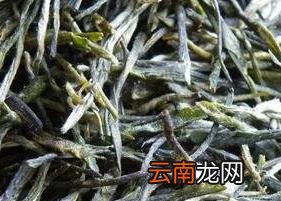 东白春芽是什么茶 东白春芽的功效