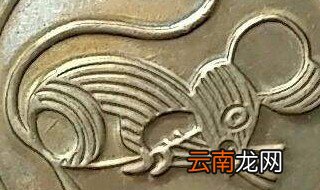 鼠年纪念币没预约上怎么办 可以详细介绍下这方面吗