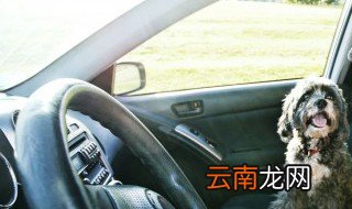 如何调整左右后视镜 知道这四点就很好调