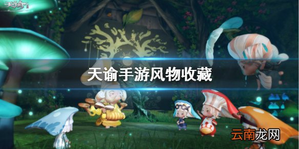 天谕手游风物收藏大全 天谕手游风物怎么收集