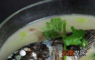 黑鱼汤的功效与作用