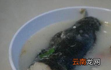 黑鱼汤的功效与作用