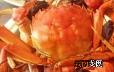 螃蟹不能和什么一起吃 螃蟹与什么食物相克