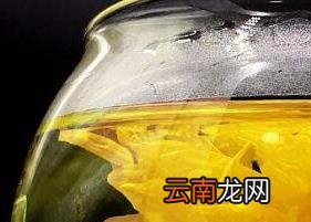 金丝皇菊的功效与作用 金丝皇菊的冲泡方法