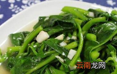 木耳菜怎么做好吃 木耳菜的食用方法