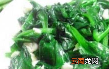 木耳菜怎么做好吃 木耳菜的食用方法
