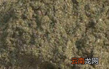 紫苏叶粉的功效与作用