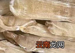 沙虫不适合什么人群吃