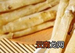 沙虫不适合什么人群吃