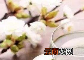 田七花茶的功效与作用 田七花茶的冲泡方法