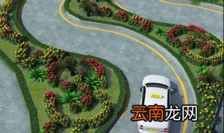 s弯道科目二技巧 最强考试攻略