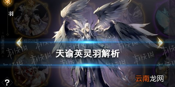 天谕羽怎么获得 天谕手游SSR英灵羽解析