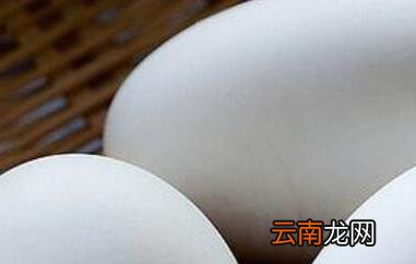 鹅蛋的功效与作用 吃鹅蛋有什么好处