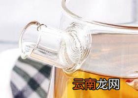 陈皮荷叶茶的功效与作用 陈皮荷叶茶的冲泡方法