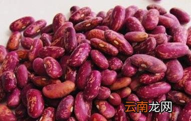花腰豆适合什么人吃 吃花腰豆的好处与功效