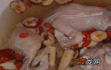 羊胎盘怎么吃 吃羊胎盘的功效与作用