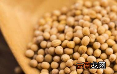 芥末籽怎么吃 芥菜籽的食用方法