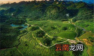 什么是大自然的音乐家 它会吃害虫吗