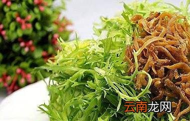 苦菊的功效与作用 苦菊的药用价值
